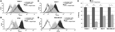 Unraveling Heparan Sulfate Proteoglycan Binding Motif for Cancer Cell Selectivity